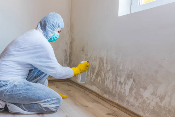 Crawl Space Mold Remediation treatment of floor joists in Bellaire